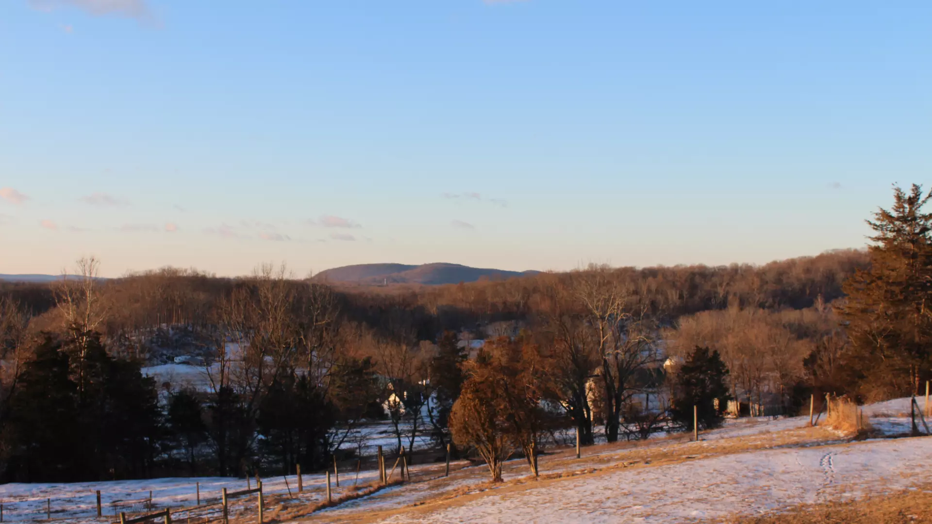 Winter Frelinghuysen 2025