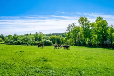 Farmland