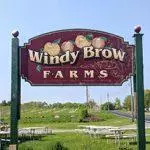 Windy Brow